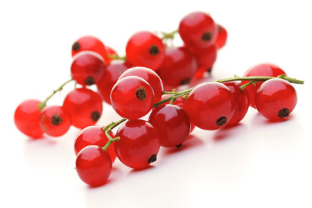 Close - up of red currants