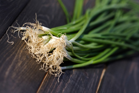 Studio shot of chive - close upの写真素材