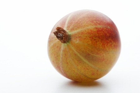 Gooseberry on white background - studio shotの写真素材