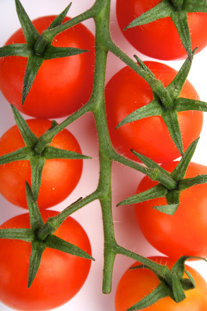 Tomato on white background - studio shotの写真素材