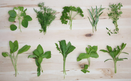 Herbs on wooden background - studio shotの写真素材