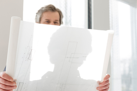 Mature businessman reading blueprint in new officeの写真素材