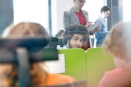 Multi-ethnic business people working in office