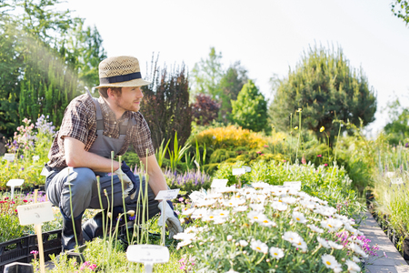 Man looking away while gardening at plant nurseryの写真素材
