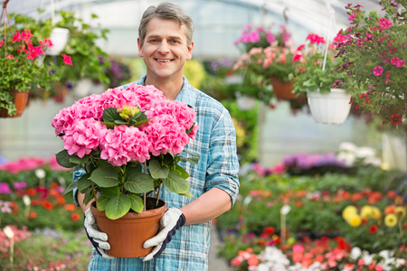 Portrait of happy gardener holding flower pot in greenhouseの写真素材