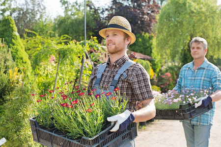 Male gardeners walking while carrying flower pots in crates at plant nurseryの写真素材