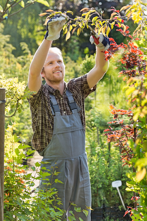Man clipping branch at plant nurseryの写真素材