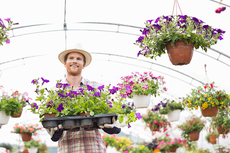 Happy gardener holding flower pots in crate at greenhouseの写真素材