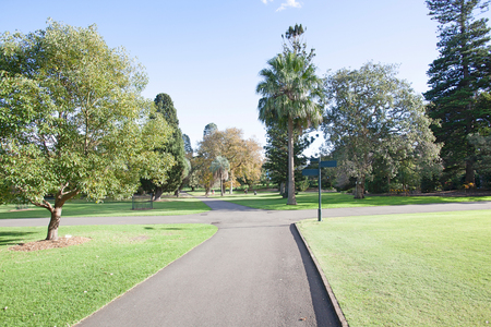 Trees at botanial garden, Sydney, Australiaの写真素材