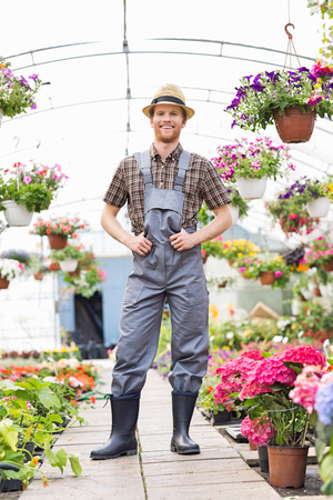 Full-length portrait of happy gardener standing at greenhouseの写真素材
