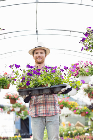 Portrait of happy gardener holding flower pots in crate at greenhouseの写真素材