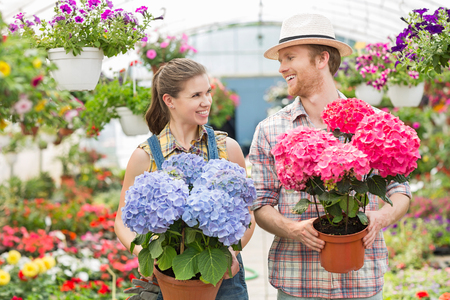 Happy gardeners looking at each other while holding flower pots at greenhouseの写真素材