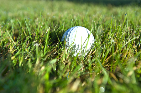 Golf ball on wet lush fairwayの写真素材