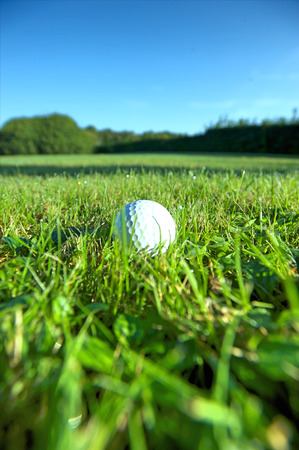 Golf ball on wet lush fairwayの写真素材