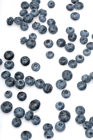 Blueberryの写真素材