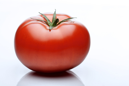 Close-up of tomatoes on white backgroundの写真素材