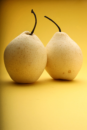 Two white pears - studio shotの写真素材