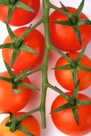 Tomato on white background - studio shotの写真素材