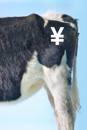 The Price of Beefの写真素材