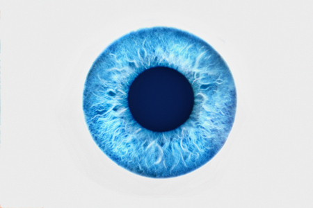 Closeup of blue eye on white backgroundの写真素材