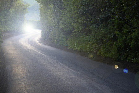 Curving Country Road Through Thick Forestの写真素材