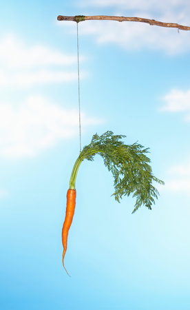 Dangling Carrot From Stickの写真素材