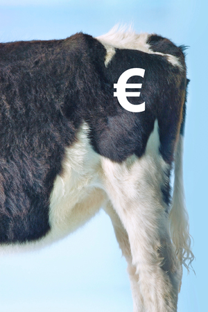 The Price of Beefの写真素材