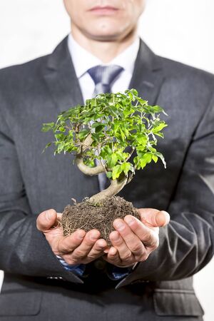 Midsection of businessman holding plant at officeの写真素材