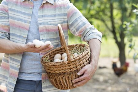 Midsection of mid adult farmer holding eggs in basket at farmの写真素材