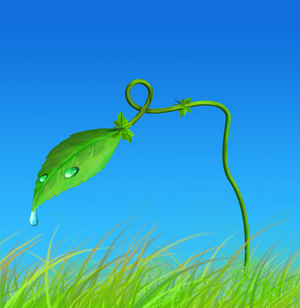 Leaf with drops of dew under blue skyの写真素材