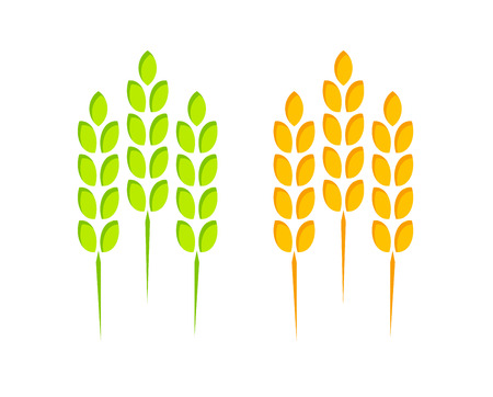 Icon of Wheat and Rye ears isolated on white background. Sign of Nature Product of High Quality.のイラスト素材