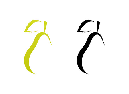 Pear icons in green and black colors isolated on white background - Vector Illustrations.の写真素材