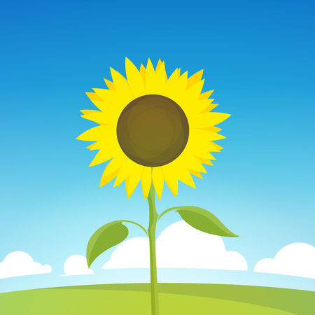 Landscape Illustration of Nature Farm. Vector Backdrop with Field and Sunflower, Symbol of Harvestのイラスト素材