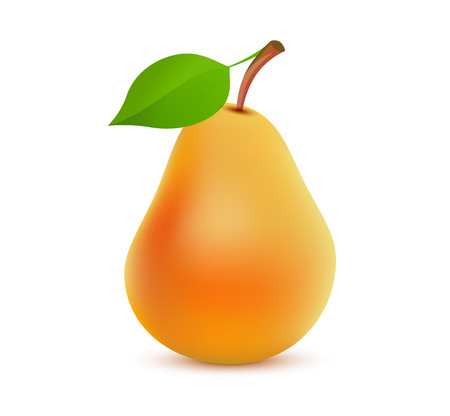 Single whole orange Pear color on white background. Vector realistic illustration of tasty juicy fruit.のイラスト素材