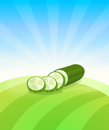 Banner template with Cucumber - Vegetables trade poster. Ads Placard with copy space on top and bottom area. Symbol of ripe vegetable under blue sky. Colorful vector illustration.のイラスト素材