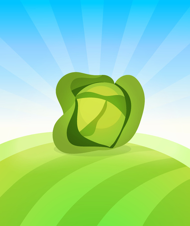 Banner template with Cabbage - Vegetables trade poster. Ads Placard with copy space on top and bottom area. Symbol of ripe vegetable under blue sky. Colorful vector illustration.のイラスト素材