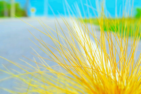Background from imageの素材