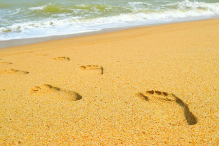Footprints on the beachの素材