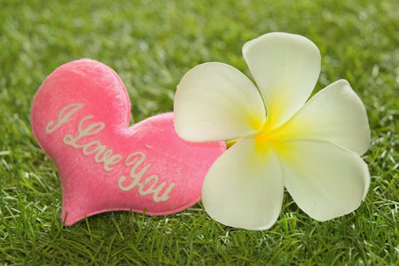 Frangipani and heart are on the glass.の素材