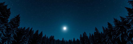 Night landscape with full moon and starry sky. Panoramic view of the winter forest.