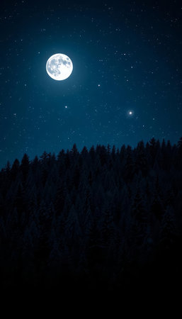 Full moon over the forest in the mountains. Night sky with starsの写真素材