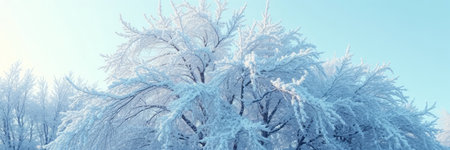 Winter landscape with snow covered trees and blue sky. Panoramic view.