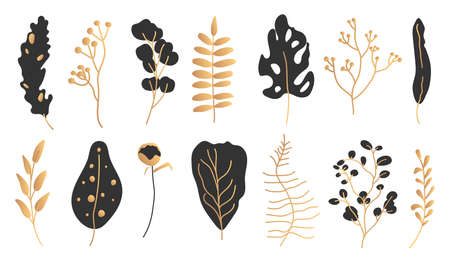 Exotic black gold tropical leaf set. Hand drawn abstract jungle floral botanic element leaves palm, monstera for decorative composition or invitation card Isolated on white vector illustrationのイラスト素材