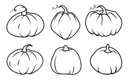 Autumn pumpkin black line icon set. Contour template different shape gourd. Linear style pictogram. Outline sign Thanksgiving and Halloween, season crop capacity Isolated on white vector illustrationのイラスト素材