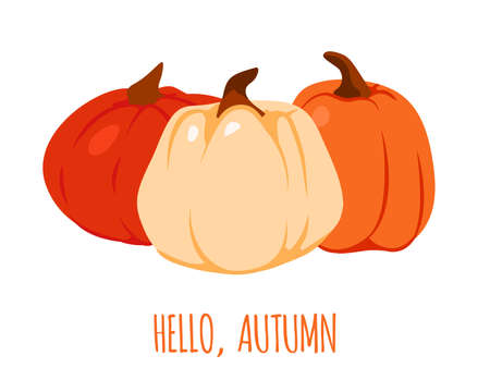 Hello, Autumn. Colorful postcard invitation with gourds. Greeting card with autumn orange and red drawn pumpkins.Template banner or poster for Thanksgiving or Halloween celebration Vector illustrationのイラスト素材