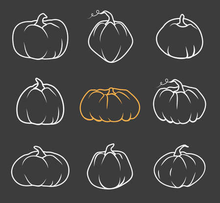 Set of white doodle Autumn pumpkin icon. Line sign Thanksgiving and Halloween, season crop capacity. Contour template different shape gourd. Linear style pictogram Isolated on dark vector illustrationのイラスト素材