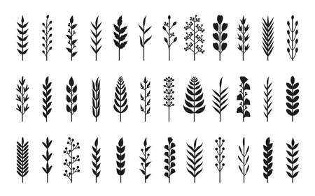 Set of black silhouette laurels branches. Hand drawn floral plant element of leaf, branch, berry. Floral object for vintage brush pen, rustic frame, border, flower ornament divider Vector illustrationのイラスト素材