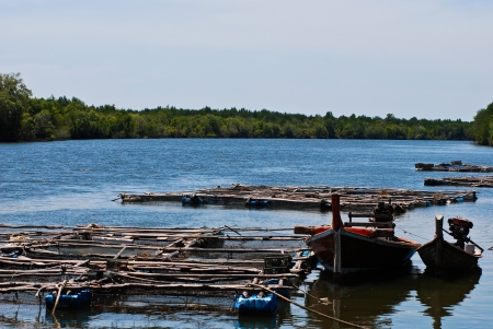 Fish Farm, South of Thailandの写真素材