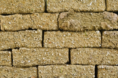 Earth wallの写真素材