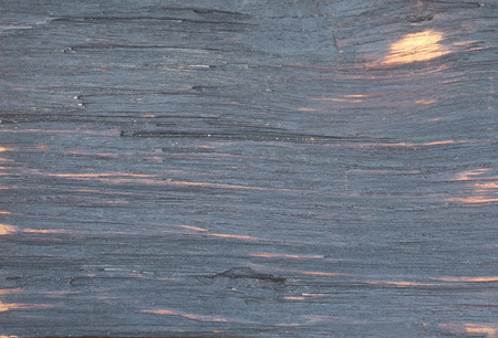 Burn wood textureの写真素材